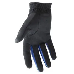 Mizuno Rainfit Golf Gloves -Golf Clubs SHOP mic0766 right regular black 2 2 91669.1558412080