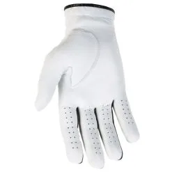Titleist Players Flex Golf Gloves 2023 -Golf Clubs SHOP via0187 right regular pearl 2 25675.1574399639