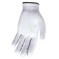 Titleist Players Flex Golf Gloves 2023 Women -Golf Clubs SHOP via0188 left regular pearl 2 16727.1573889751